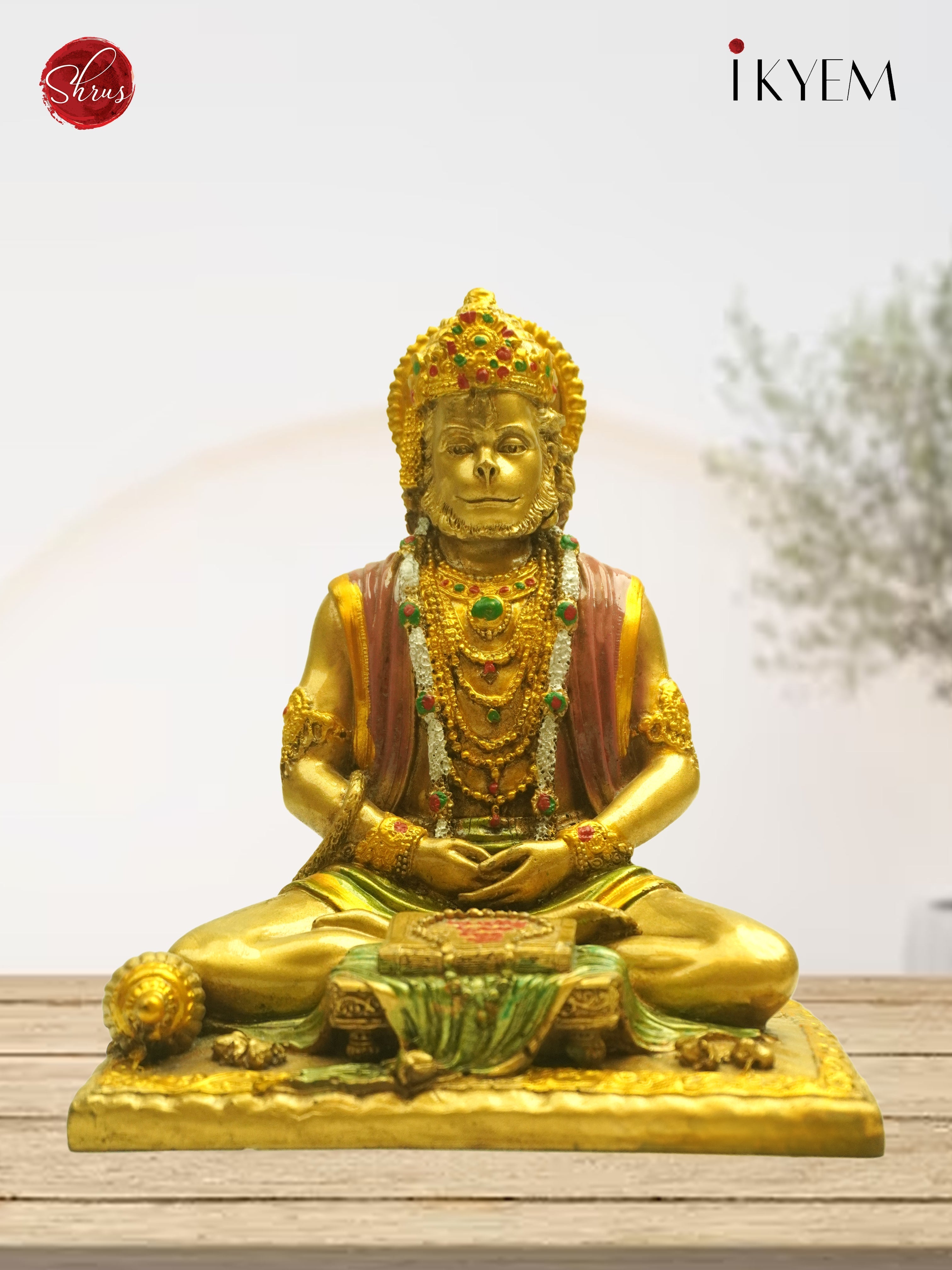 3E25070 - Lord Hanuman - Shop on ShrusEternity.com
