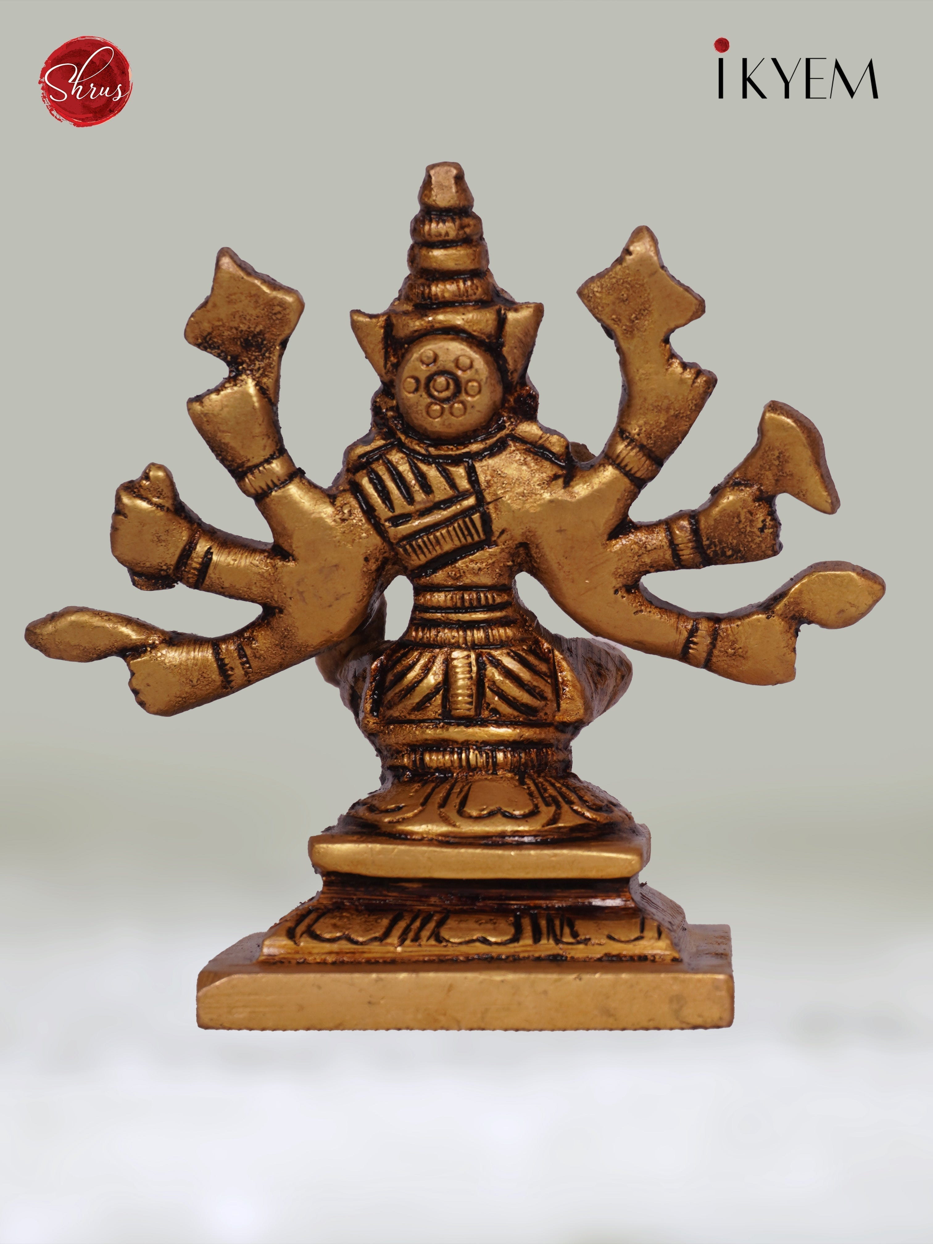 3H01100 - Varahi Idol - Shop on ShrusEternity.com