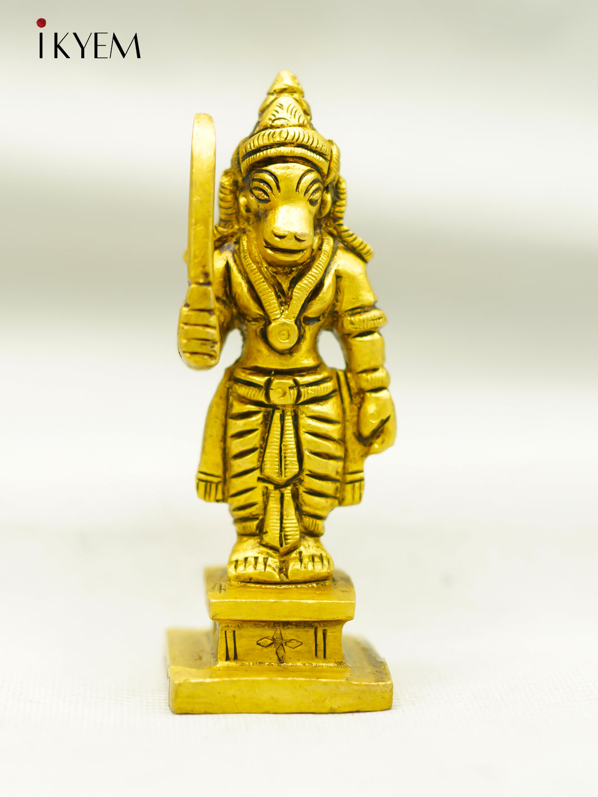 Brass Vishnu Varaha Idol