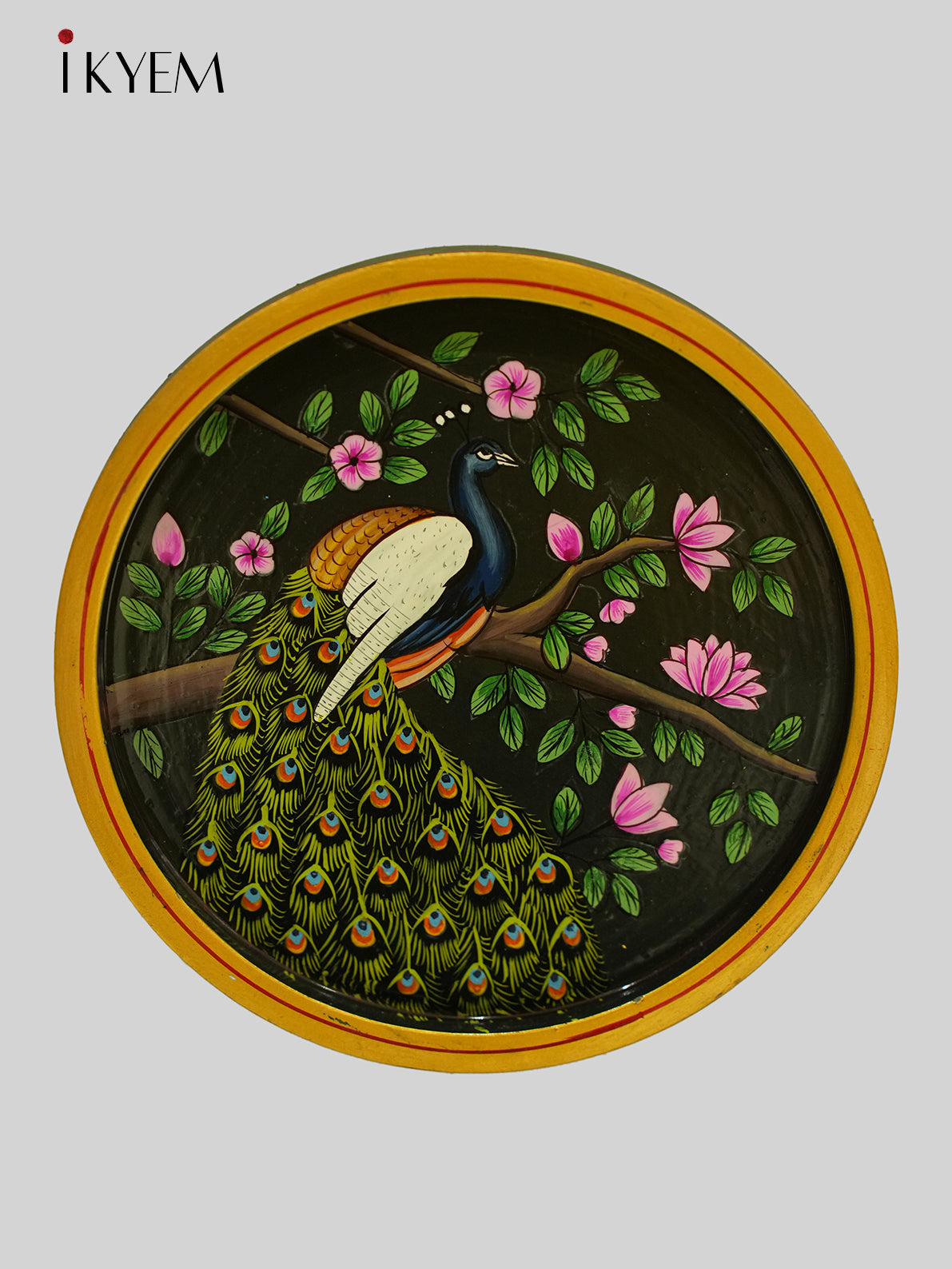 Peacock Handpainted wooden wall hanging plates