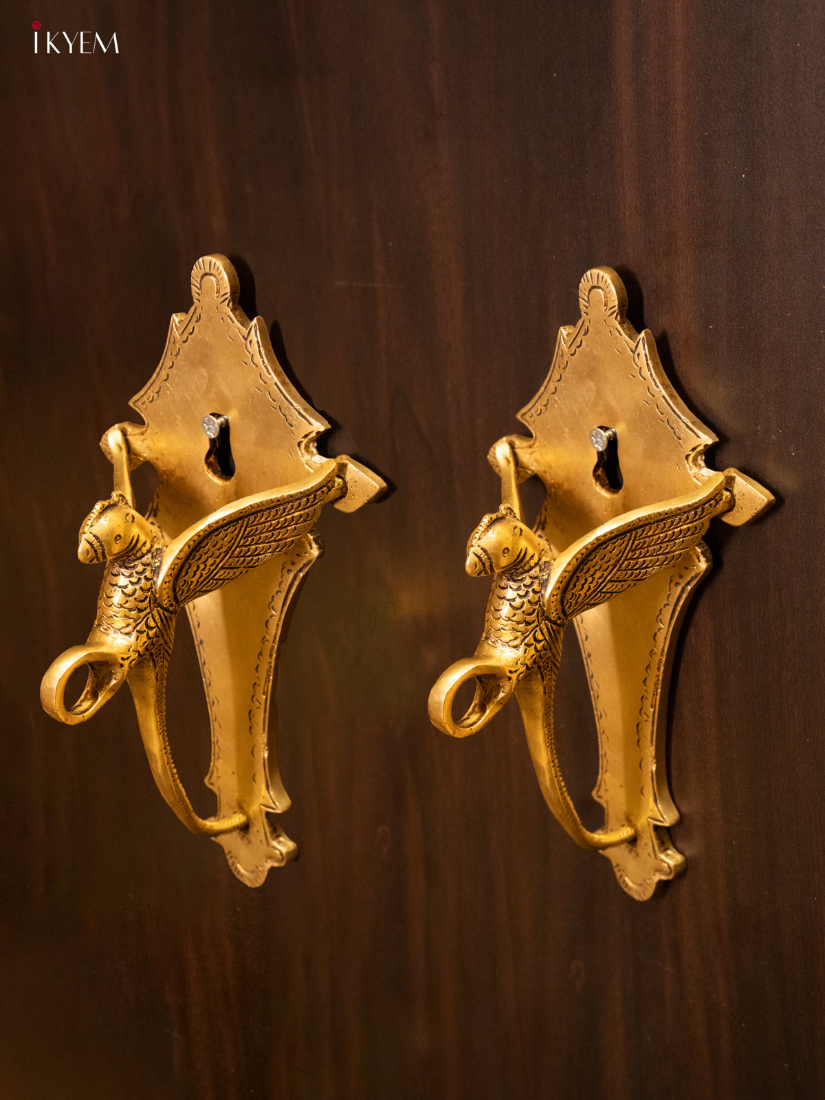 Brass Parrot Wall Bracket - KK26169